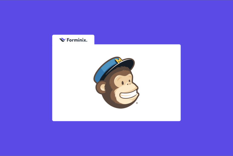 Blog Forminix