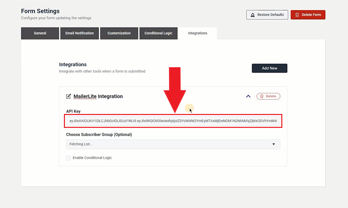 Placing API Key for WordPress MailerLite Integration.