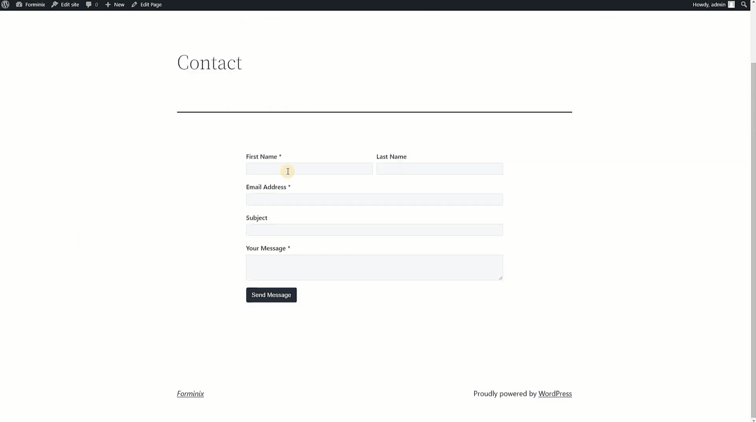 Testing connection of MailerLite with WordPress form.